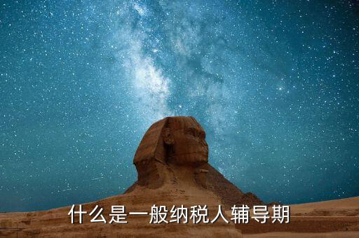 一般納稅人有輔導(dǎo)期是什么意思，什么是輔導(dǎo)期一般納稅人