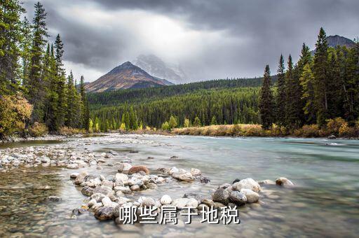 什么是地教稅，印花稅土地使用稅請問酒店要交地教稅土地使用稅是什