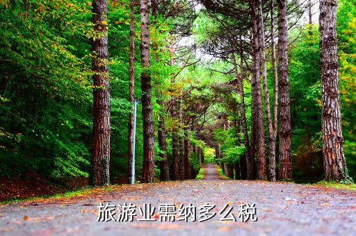 旅游業(yè)是什么稅，旅游行業(yè)需要交納什么稅呢