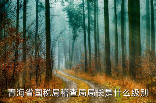 青海國稅精神是什么意思，青海省西寧城市精神是什么