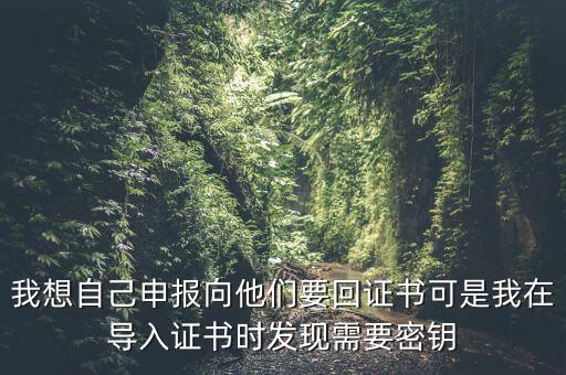 報稅為什么要用到密鑰，我想自己申報向他們要回證書可是我在導(dǎo)入證書時發(fā)現(xiàn)需要密鑰