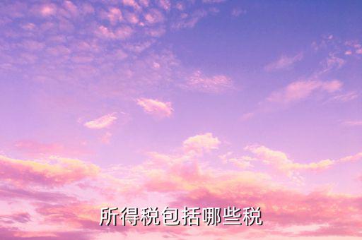 企業(yè)所得稅包含什么，公司所得稅包含有哪兩個(gè)
