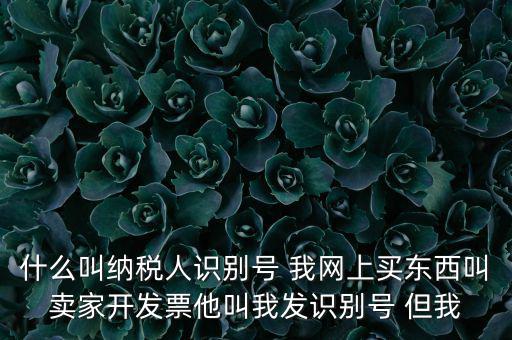 什么叫納稅人識(shí)別號(hào) 我網(wǎng)上買(mǎi)東西叫賣(mài)家開(kāi)發(fā)票他叫我發(fā)識(shí)別號(hào) 但我