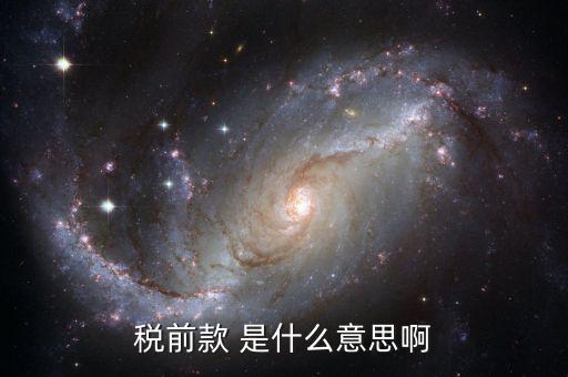 稅前金額是什么意思，稅前款 是什么意思啊