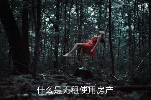 什么是無租使用房產(chǎn)，請(qǐng)問在經(jīng)濟(jì)法里無租使用房產(chǎn)是什么意思