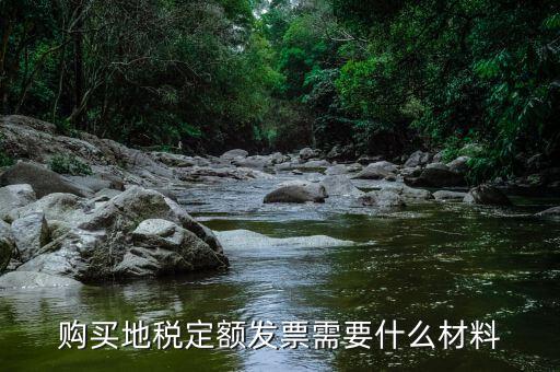 購(gòu)買地稅定額發(fā)票需要什么材料