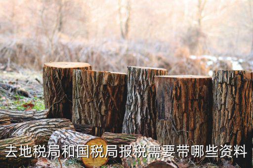 地稅局交稅需要什么，去地稅局繳納營業(yè)稅金及附加需要帶什么資料