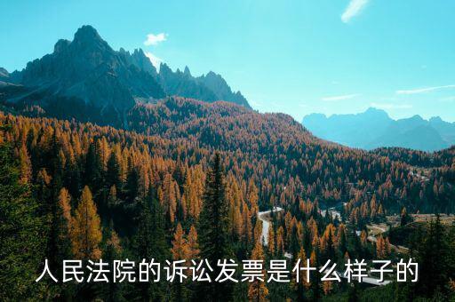 發(fā)票原件是什么樣的，正規(guī)的發(fā)票長(zhǎng)什么樣子