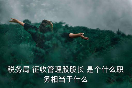 稅務局 征收管理股股長 是個什么職務相當于什么