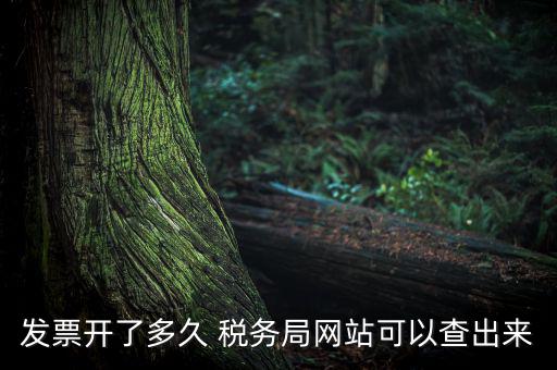 稅局一般什么時候查發(fā)票，增值稅發(fā)票開多久能在國家稅務(wù)局查到