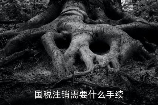 國稅局注銷要什么手續(xù)，國稅注銷需要什么手續(xù)