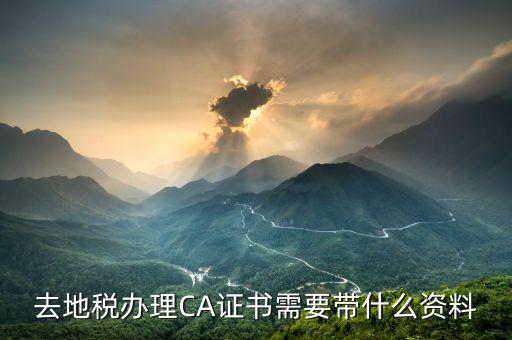 地稅ca帶什么，去地稅簽三方協(xié)議需要以下東西第四個CA是什么意思啊