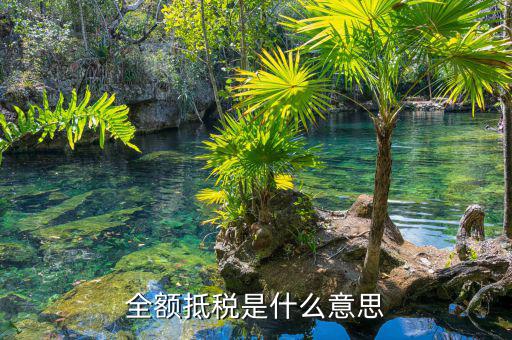 什么叫全額抵p，增值稅的全額抵扣是什么意思