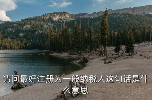 納稅資格是什么意思，具有納稅人資格是什么意思