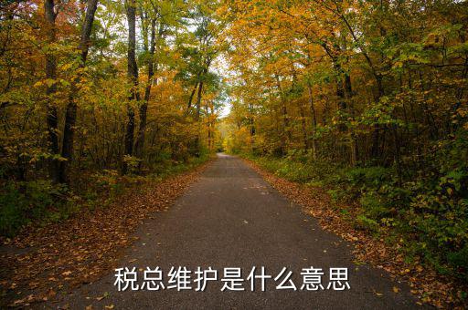 涉稅軟件維護(hù)費(fèi)是什么東東，稅總維護(hù)是什么意思