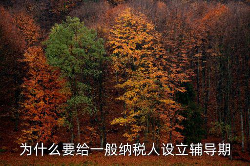 為什么增值稅輔導(dǎo)期，什么是輔導(dǎo)期一般納稅人