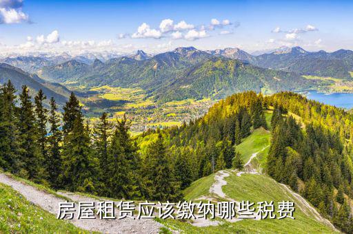租賃費繳什么稅，租賃服務業(yè)要交哪些稅