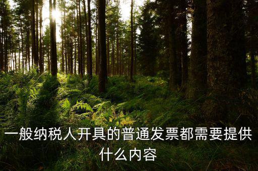 申請普票都需要什么，一般納稅人申請普通發(fā)票所帶的資料