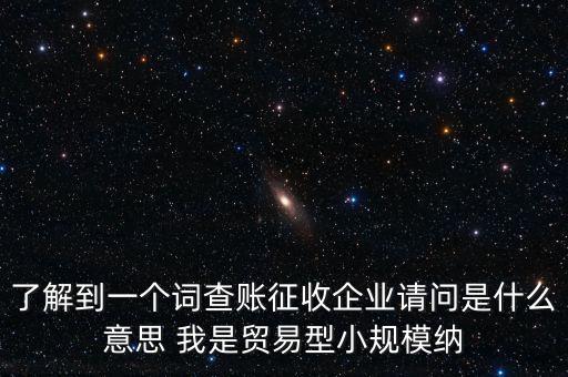 了解到一個(gè)詞查賬征收企業(yè)請(qǐng)問是什么意思 我是貿(mào)易型小規(guī)模納