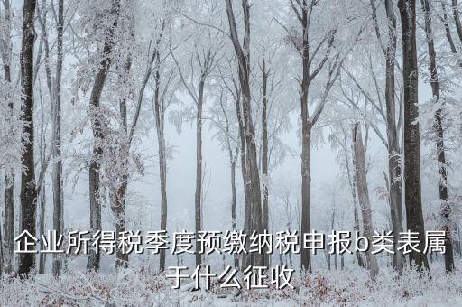 所得稅b類按什么征收，企業(yè)所得稅季度預繳納稅申報b類表屬于什么征收