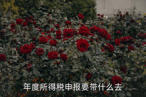 納稅申報應(yīng)帶什么東西，你好 到稅務(wù)局報稅需要帶什么東西怎么報
