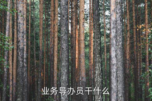 業(yè)務(wù)導辦員干什么