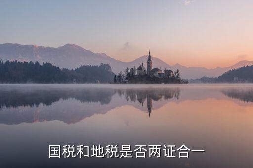 國(guó)稅的兩證合一是什么意思，國(guó)稅和地稅是否兩證合一