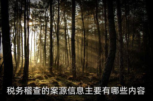 稅務(wù)督察內(nèi)審做什么的，內(nèi)審監(jiān)察主要工作職能