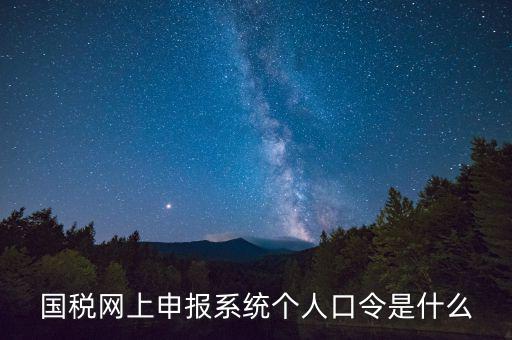 國稅網(wǎng)上申報(bào)系統(tǒng)個(gè)人口令是什么