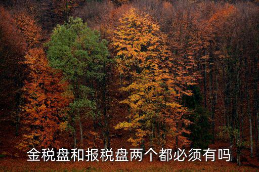 申報盤是什么，保險兼業(yè)代理人資格申報電腦數(shù)據(jù)盤是什么意思