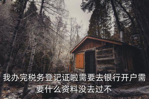 稅務登記以后需要什么資料，辦理稅務登記證都需要提供什么資料