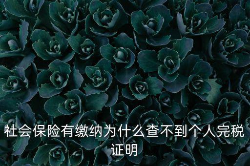 為什么查不到納稅記錄，社會(huì)保險(xiǎn)有繳納為什么查不到個(gè)人完稅證明