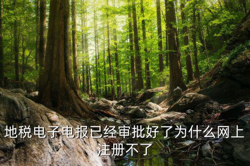 河地稅網(wǎng)上辦稅為什么注冊不了，地稅網(wǎng)上打印報(bào)表提示沒有注冊要怎么注冊呢