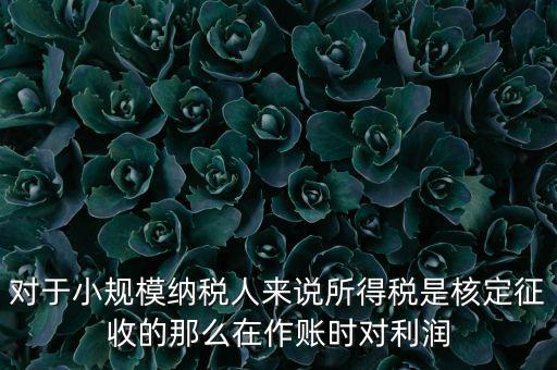 對(duì)于小規(guī)模納稅人來說所得稅是核定征收的那么在作賬時(shí)對(duì)利潤