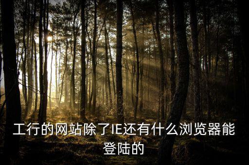 開(kāi)票登陸的瀏覽器是什么，工行的網(wǎng)站除了IE還有什么瀏覽器能登陸的