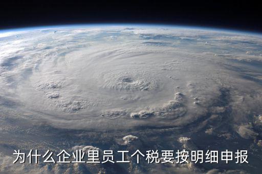 為什么企業(yè)里員工個稅要按明細(xì)申報(bào)