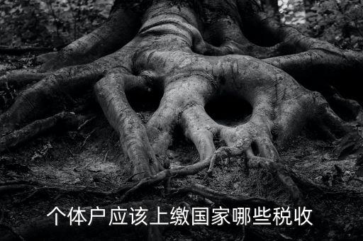 個體戶應該上繳國家哪些稅收
