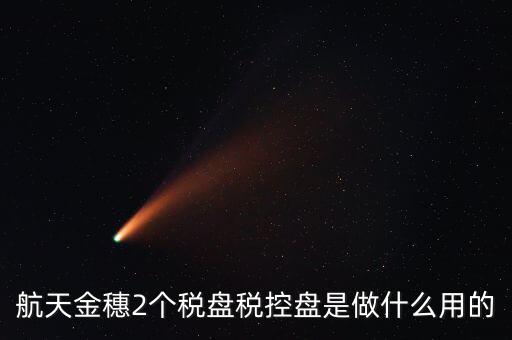 開票軟件兩盤是什么，第二個(gè)金稅盤裝開票軟件裝不了也沒有完全安裝這一步啥意思