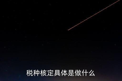 票中核定是什么核定的，哪些情況下要進行國稅票種核定