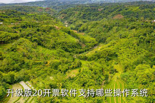 開(kāi)票軟件適用什么系統(tǒng)，有沒(méi)有適合電商用的發(fā)票處理系統(tǒng)