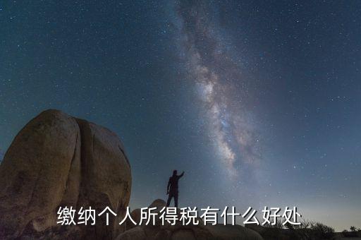 個(gè)人報(bào)稅有什么用，個(gè)人自行納稅申報(bào)有什么好處