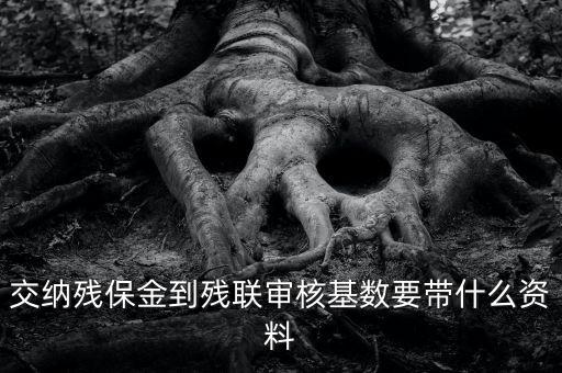 去稅務(wù)申報(bào)殘保金帶什么資料，去地稅交殘疾人保障金需要什么資料