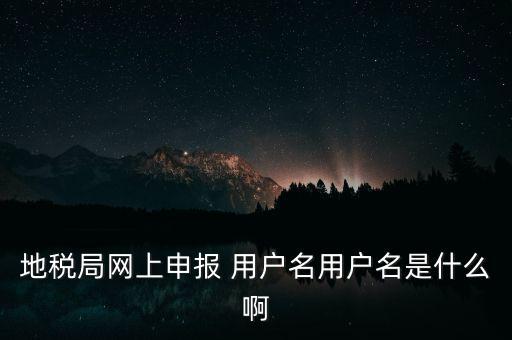 山東地稅網(wǎng)上申報賬號密碼是什么，地稅申報的用戶名和密碼是什么