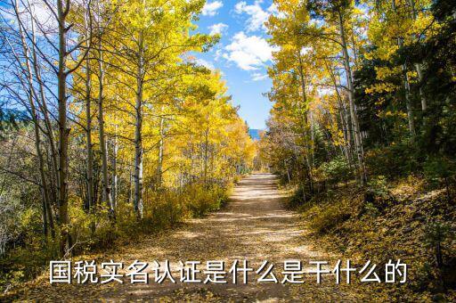 國(guó)稅局實(shí)名認(rèn)證是什么，今天國(guó)稅局叫去實(shí)名認(rèn)證認(rèn)證是不是就得交