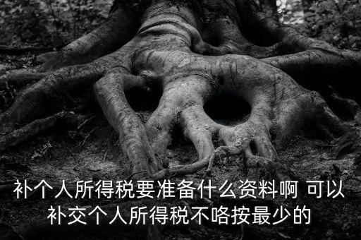 補個人所得稅要準(zhǔn)備什么資料啊 可以補交個人所得稅不咯按最少的