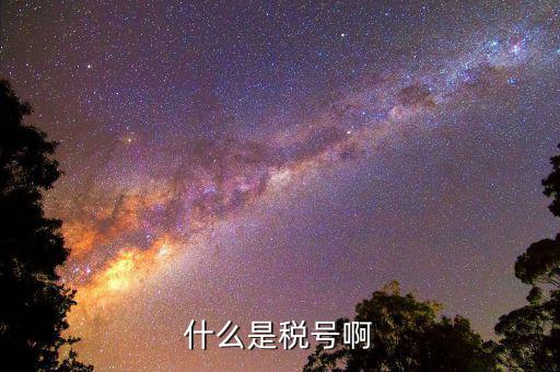 公司稅號是什么，公司的稅號一般有多少位