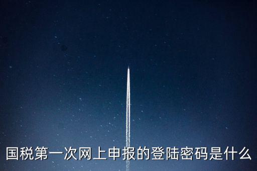 所得稅清算登陸密碼是什么，國稅第一次網(wǎng)上申報(bào)的登陸密碼是什么