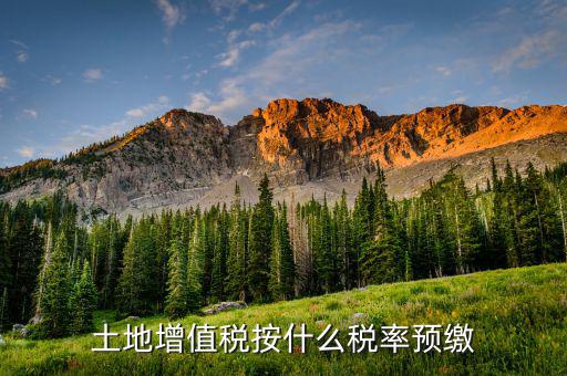 山東省土地增值稅按什么預(yù)繳，山東文登市土地增值稅預(yù)繳稅率是多少