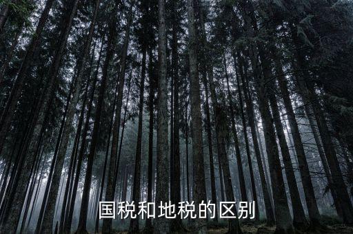 稅務(wù)和地稅什么區(qū)別，國稅和地稅的區(qū)別
