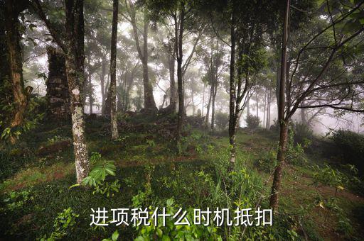認(rèn)證的進(jìn)項(xiàng)稅什么時(shí)候抵扣，進(jìn)項(xiàng)稅什么時(shí)機(jī)抵扣